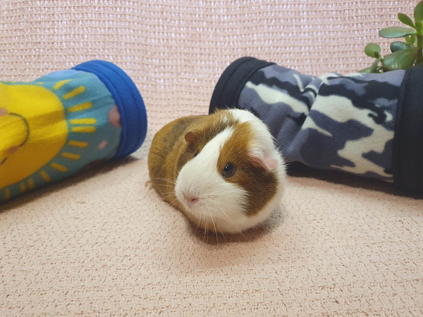 Handmade tunnels for Guinea Pigs and other small animals