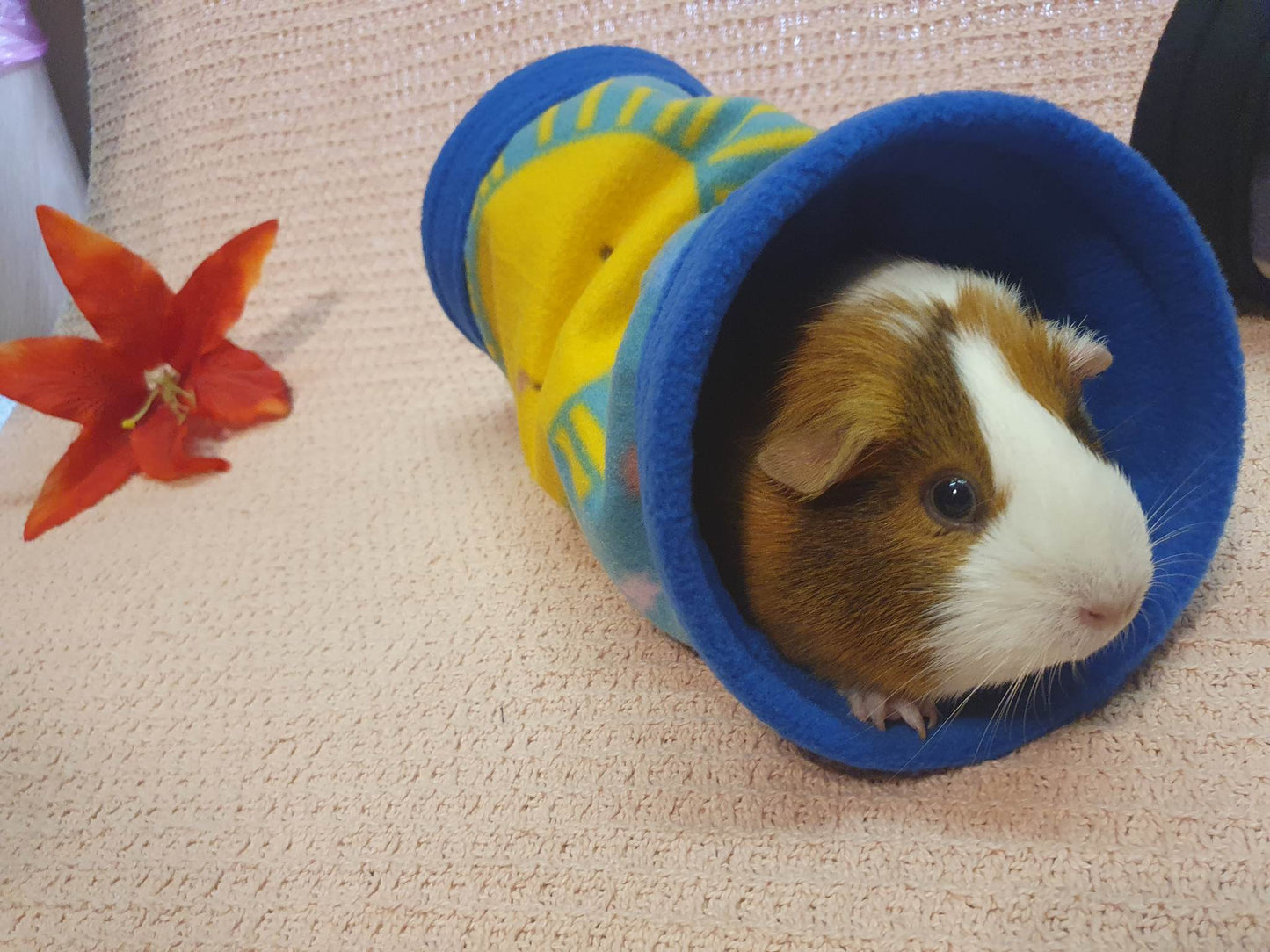 Handmade tunnels for Guinea Pigs and other small animals