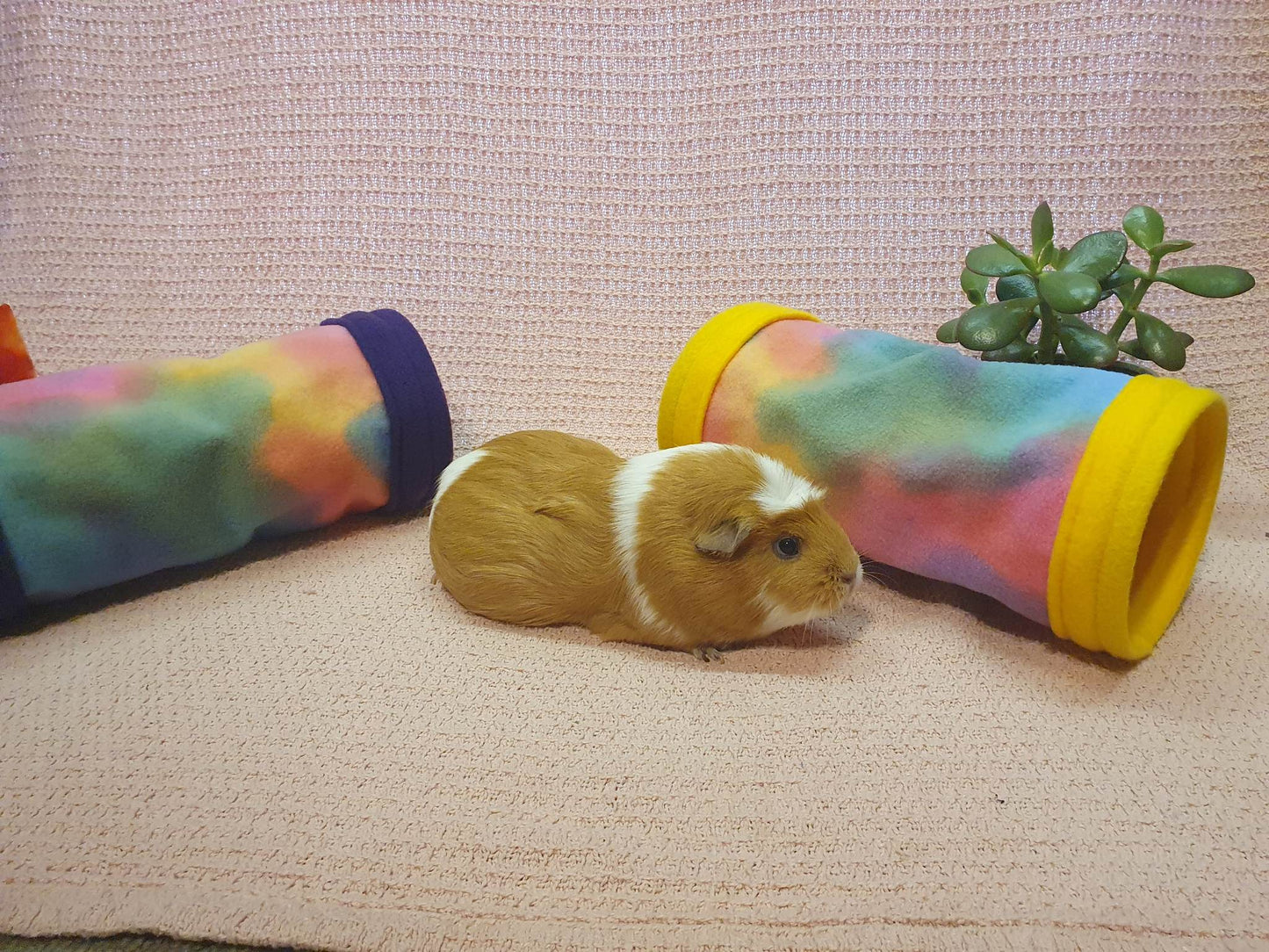 Handmade tunnels for Guinea Pigs and other small animals