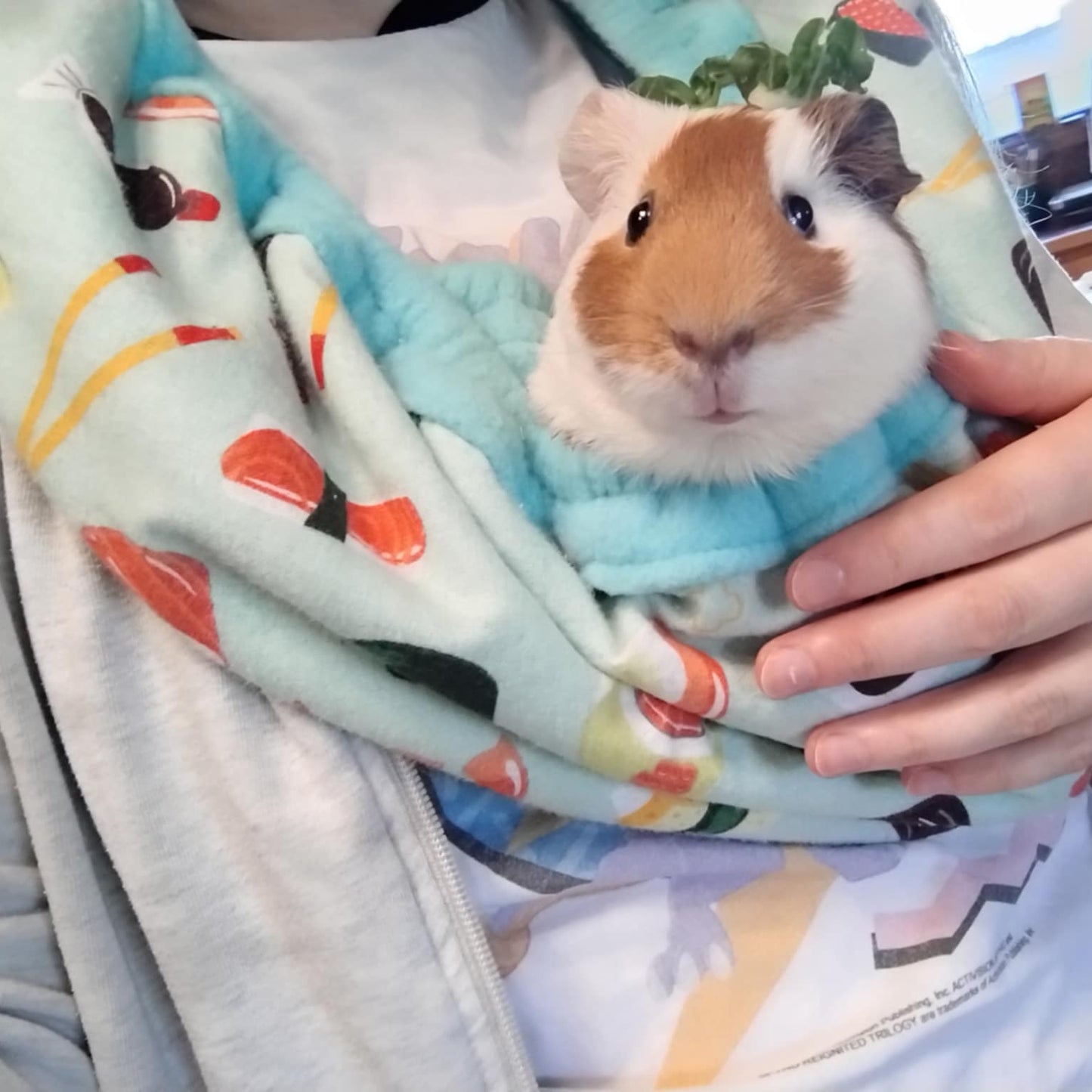 Cuddle Scarf / Bonding Scarf for guinea pigs and other small animals